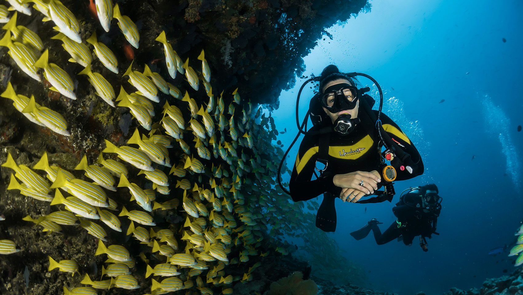 Scuba Diver