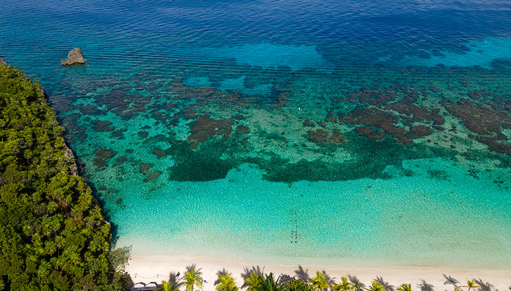 roatan west bay honduras