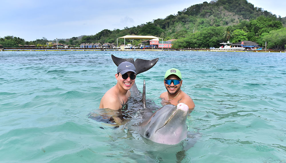 Two guys holding a dolphin in the water