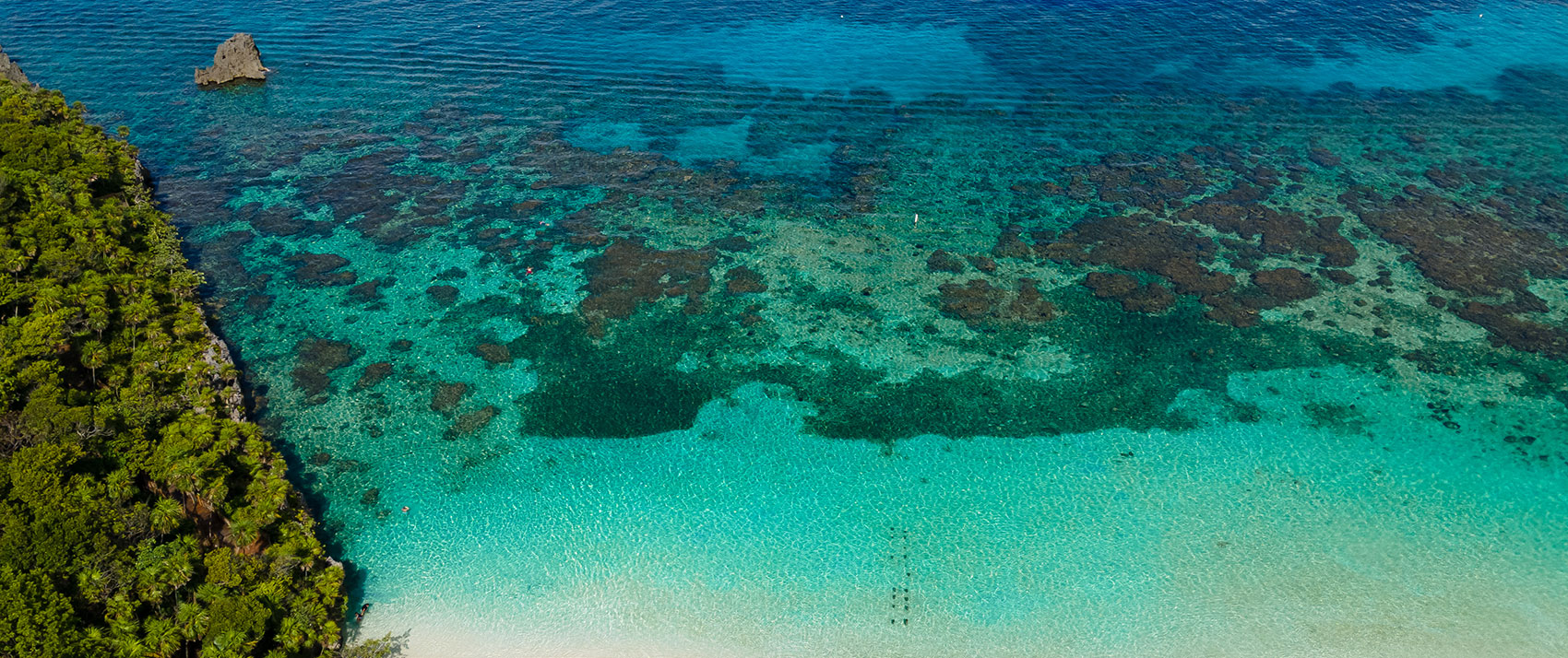 roatan west bay honduras